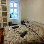 Nice One Bedroom Apartment In Zizkov