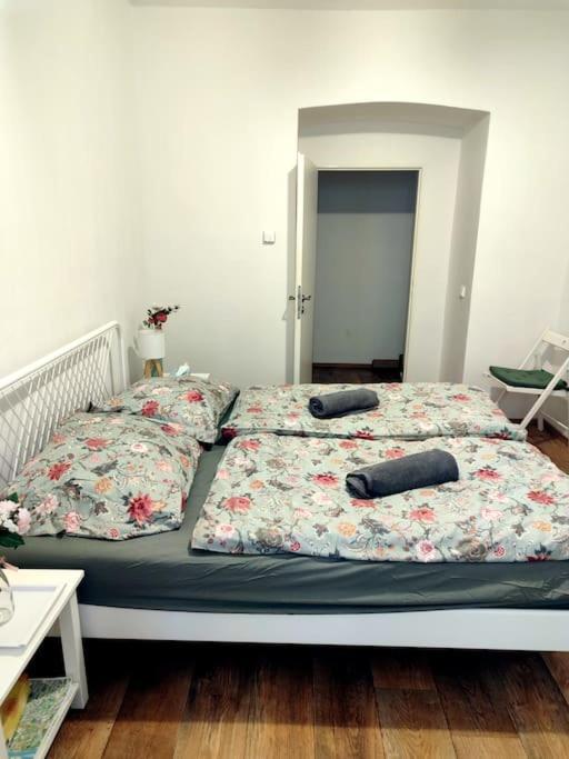 Appartamento One Bedroom In Zizkov