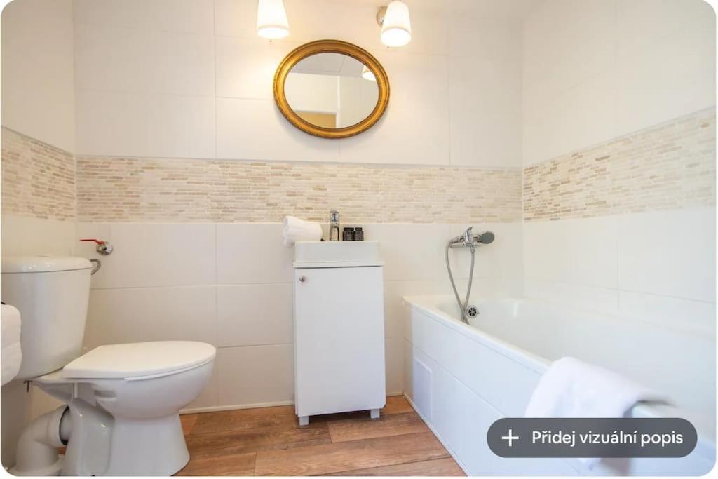One Bedroom In Zizkov Appartamento *