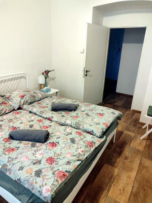 One Bedroom In Zizkov * Praga